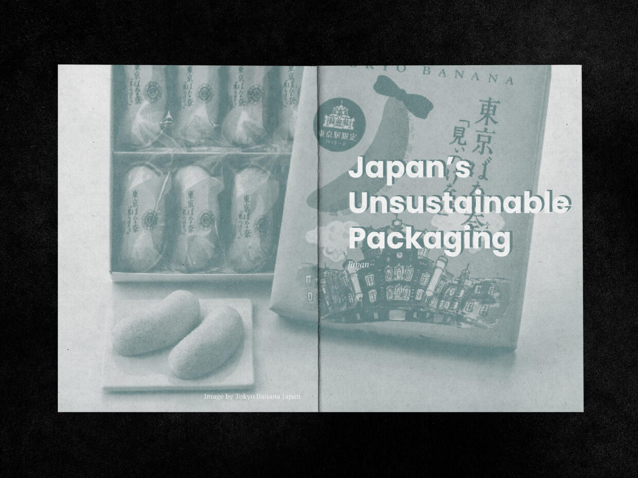 Japan&#39;s Unsustainable Packaging (P1)